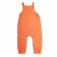 Load image into Gallery viewer, Pumpkin Pie Overalls