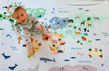 Load image into Gallery viewer, World Map Blanket
