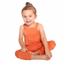 Load image into Gallery viewer, Pumpkin Pie Overalls