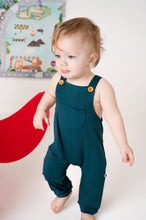 Load image into Gallery viewer, Stormy Sky Overalls