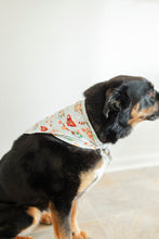 Load image into Gallery viewer, Green Grey Cocoa Cups Dog Bandanas