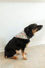Load image into Gallery viewer, Green Grey Cocoa Cups Dog Bandanas