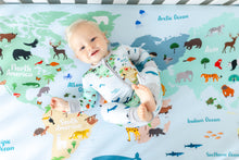 Load image into Gallery viewer, World Map Crib Sheet