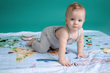 Load image into Gallery viewer, World Map quilted Blanket