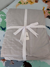 Load image into Gallery viewer, Silver Scene quilted Blanket