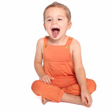 Load image into Gallery viewer, Pumpkin Pie Overalls