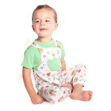Load image into Gallery viewer, Garden Gnomes Pant Overalls