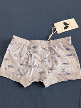 Load image into Gallery viewer, Mission Moon Boys Brief Underwear