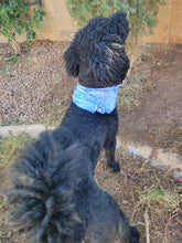 Load image into Gallery viewer, Winter Wonder Dog Bandanas