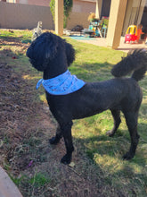 Load image into Gallery viewer, Winter Wonder Dog Bandanas