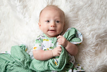 Load image into Gallery viewer, Busy Bugs Lovey