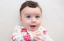 Load image into Gallery viewer, Friendly Farm Long Sleeve Romper