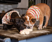 Load image into Gallery viewer, Cream Cocoa Cups Dog Bandanas
