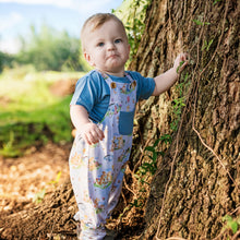 Load image into Gallery viewer, Pooh Pals  Overalls
