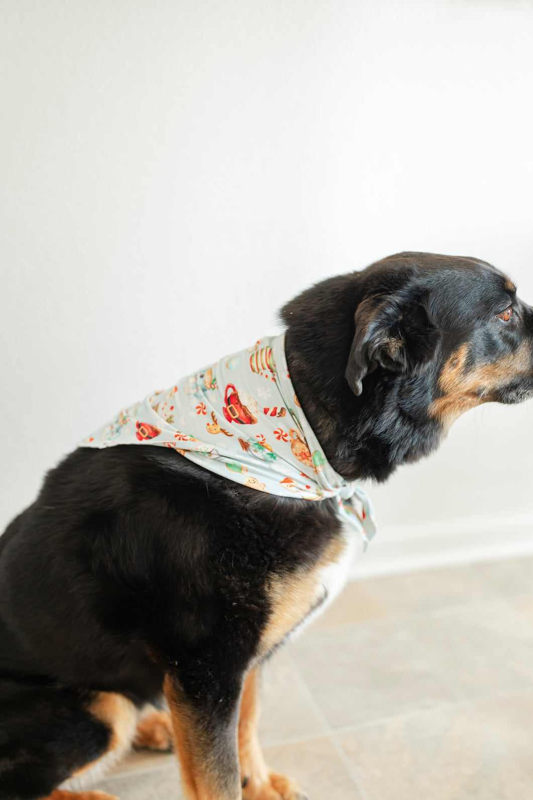 Green Grey Cocoa Cups Dog Bandanas