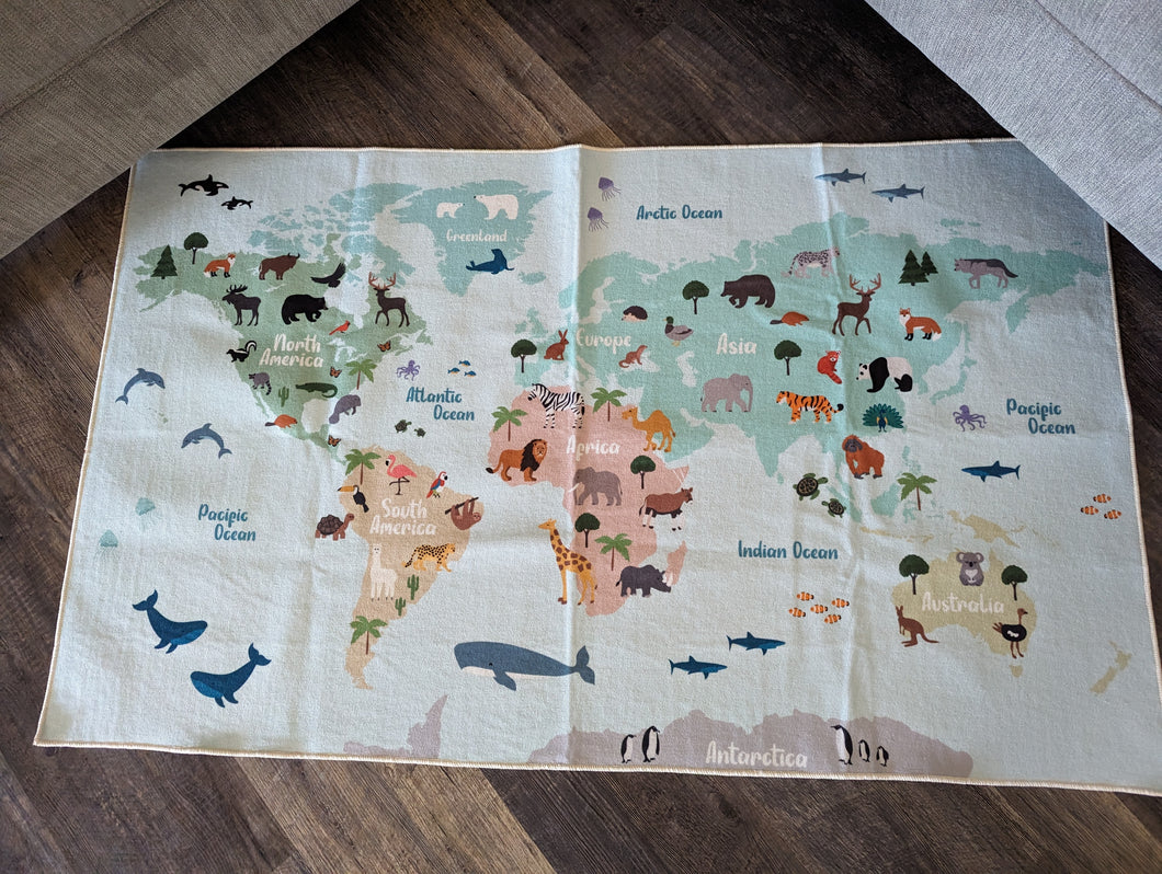 World Map Rug