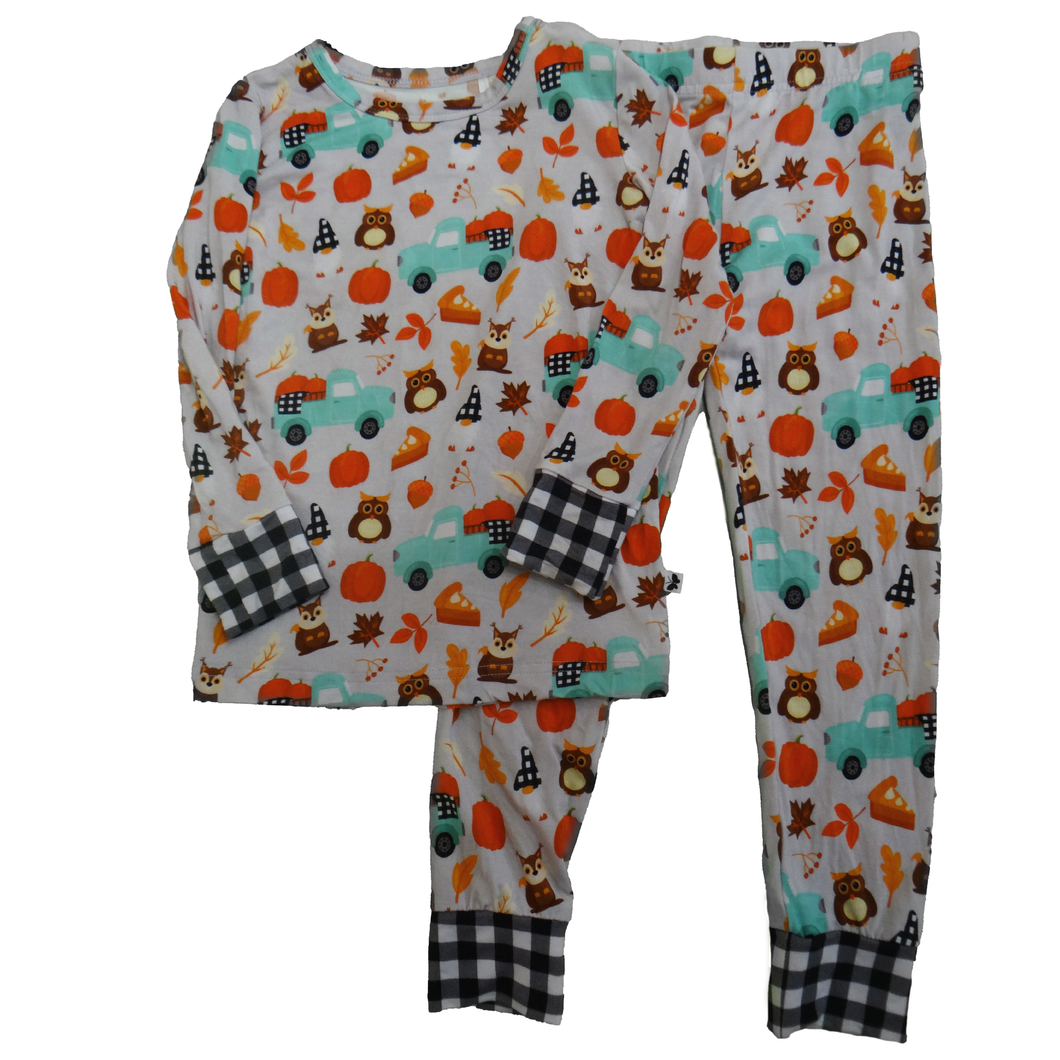 Fall Fun 2-Piece Long Sleeve Pjs